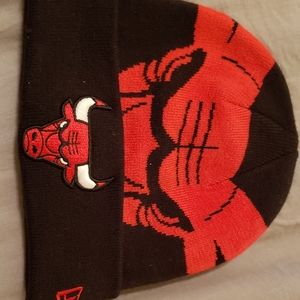 Bulls hat